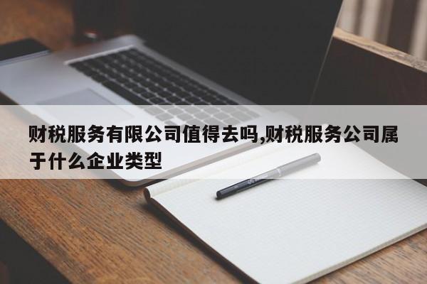财税服务有限公司值得去吗,财税服务公司属于什么企业类型