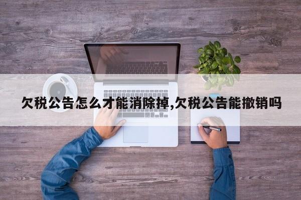 欠税公告怎么才能消除掉,欠税公告能撤销吗