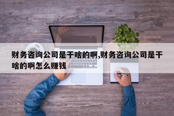 财务咨询公司是干啥的啊,财务咨询公司是干啥的啊怎么赚钱