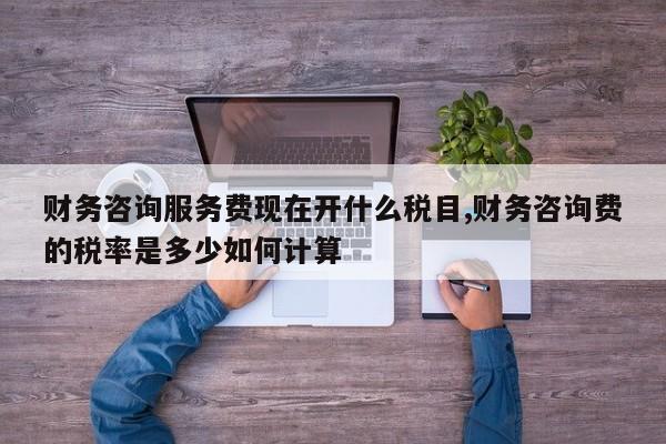 财务咨询服务费现在开什么税目,财务咨询费的税率是多少如何计算