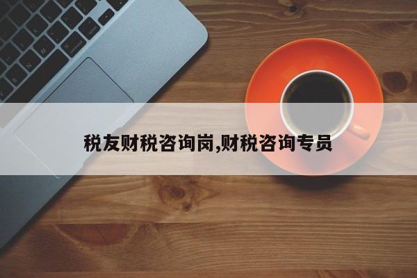 税友财税咨询岗,财税咨询专员