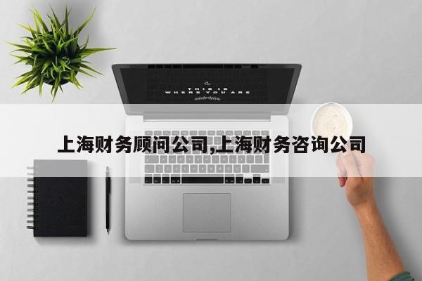 上海财务顾问公司,上海财务咨询公司