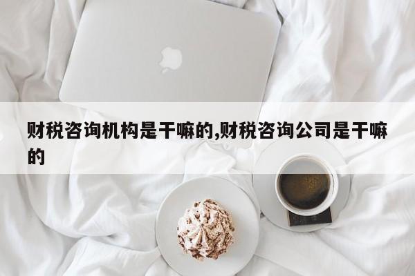 财税咨询机构是干嘛的,财税咨询公司是干嘛的
