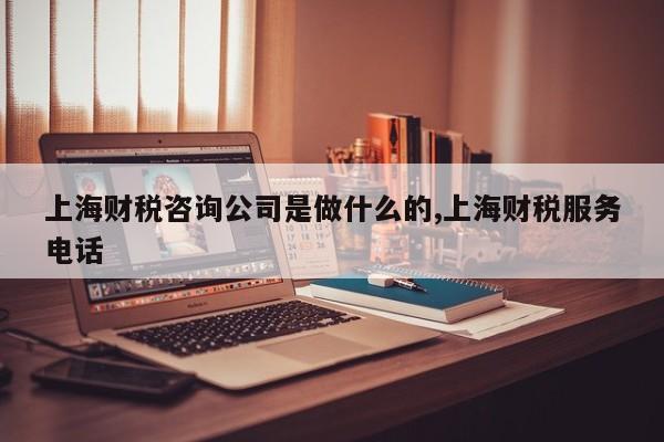 上海财税咨询公司是做什么的,上海财税服务电话