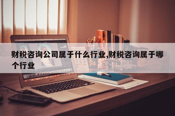 财税咨询公司属于什么行业,财税咨询属于哪个行业