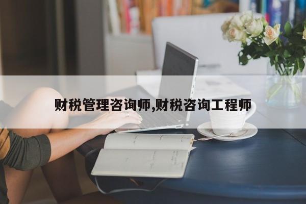 财税管理咨询师,财税咨询工程师