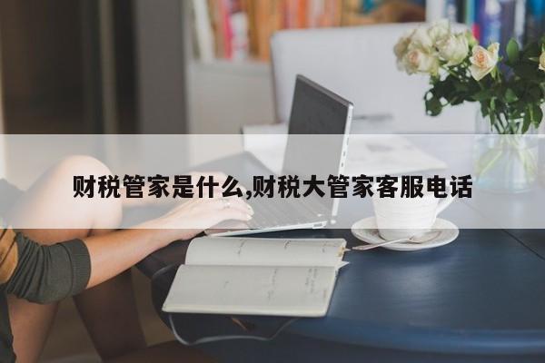财税管家是什么,财税大管家客服电话