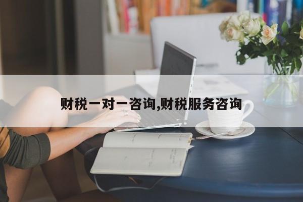 财税一对一咨询,财税服务咨询
