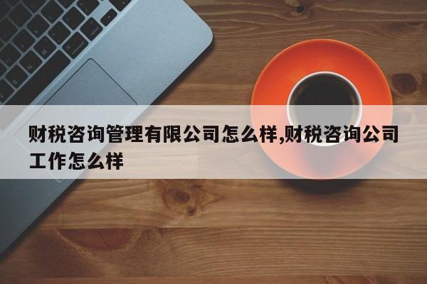 财税咨询管理有限公司怎么样,财税咨询公司工作怎么样