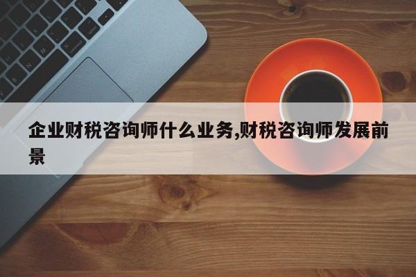 企业财税咨询师什么业务,财税咨询师发展前景