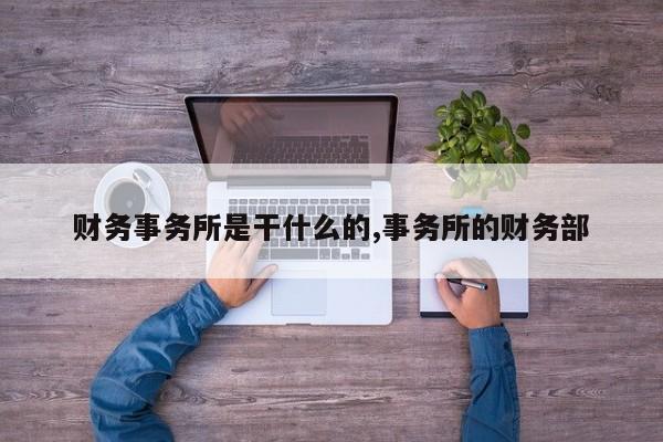 财务事务所是干什么的,事务所的财务部