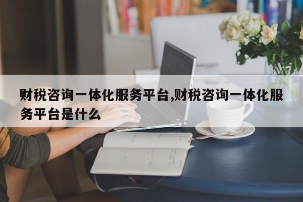 财税咨询一体化服务平台,财税咨询一体化服务平台是什么