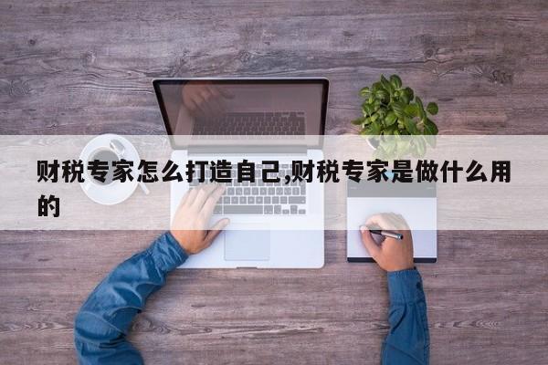 财税专家怎么打造自己,财税专家是做什么用的