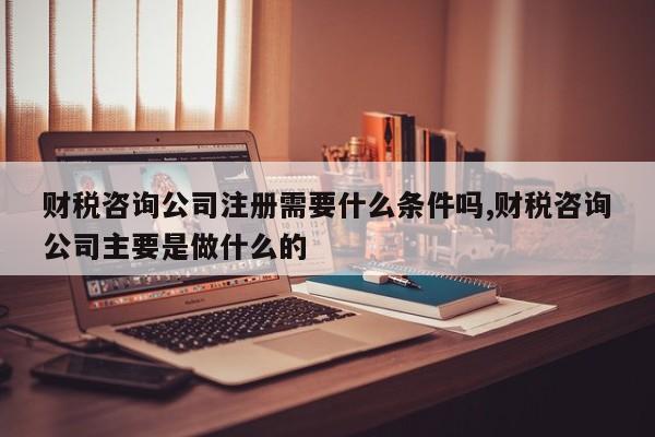 财税咨询公司注册需要什么条件吗,财税咨询公司主要是做什么的
