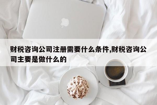 财税咨询公司注册需要什么条件,财税咨询公司主要是做什么的