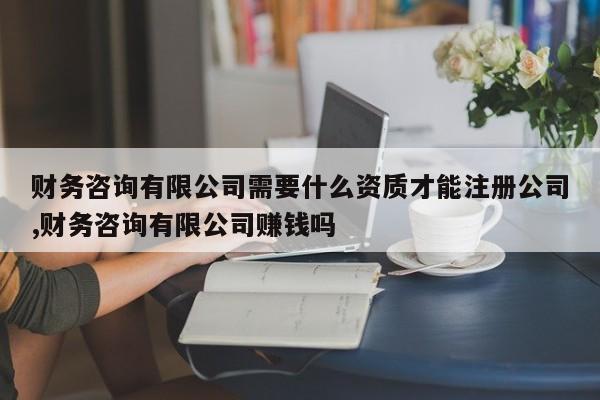 财务咨询有限公司需要什么资质才能注册公司,财务咨询有限公司赚钱吗