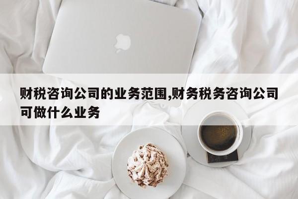 财税咨询公司的业务范围,财务税务咨询公司可做什么业务