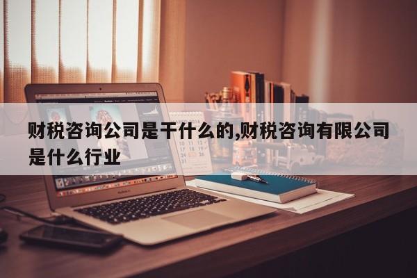 财税咨询公司是干什么的,财税咨询有限公司是什么行业