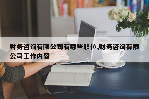 财务咨询有限公司有哪些职位,财务咨询有限公司工作内容