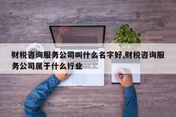 财税咨询服务公司叫什么名字好,财税咨询服务公司属于什么行业