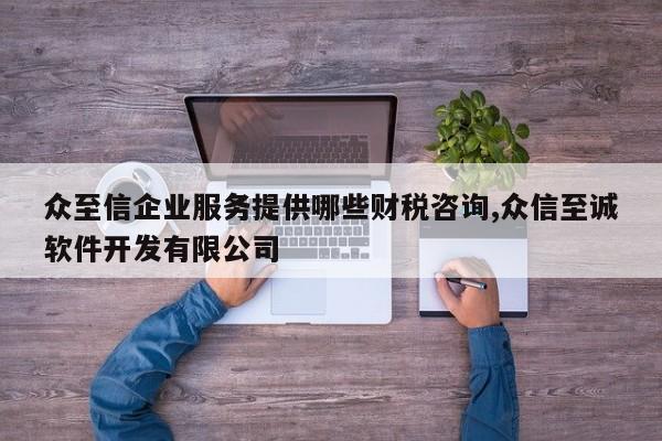 众至信企业服务提供哪些财税咨询,众信至诚软件开发有限公司