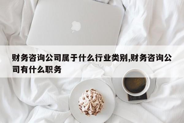 财务咨询公司属于什么行业类别,财务咨询公司有什么职务