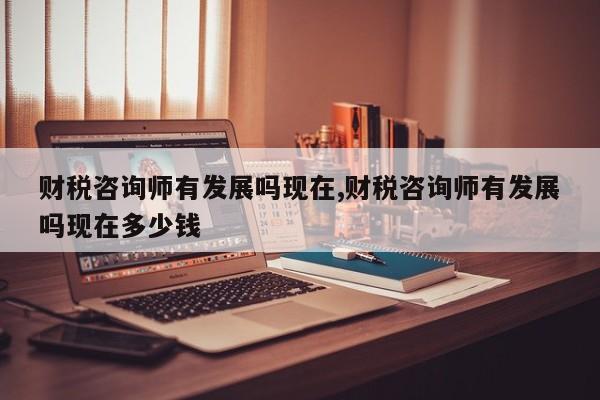 财税咨询师有发展吗现在,财税咨询师有发展吗现在多少钱