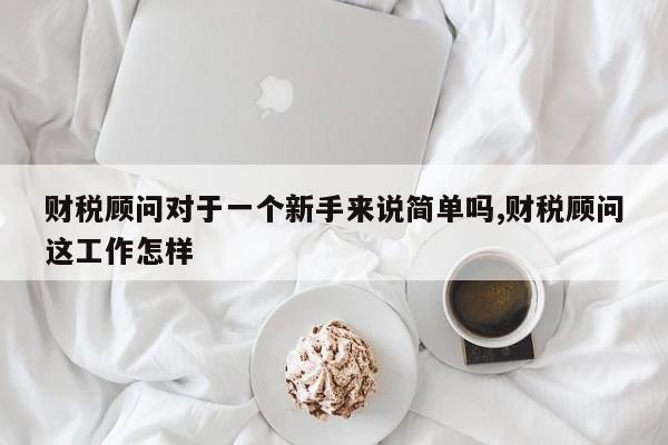 财税顾问对于一个新手来说简单吗,财税顾问这工作怎样