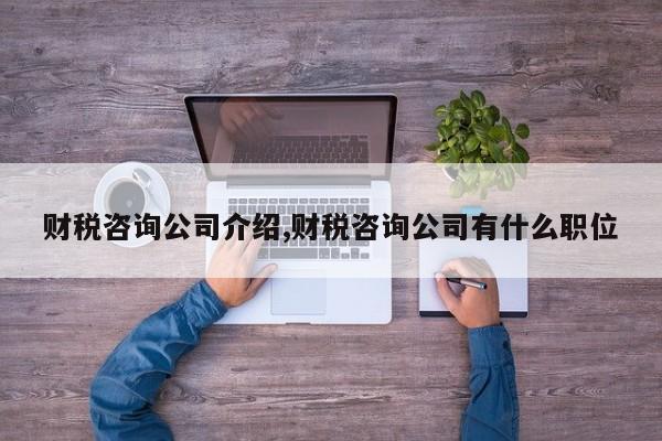 财税咨询公司介绍,财税咨询公司有什么职位