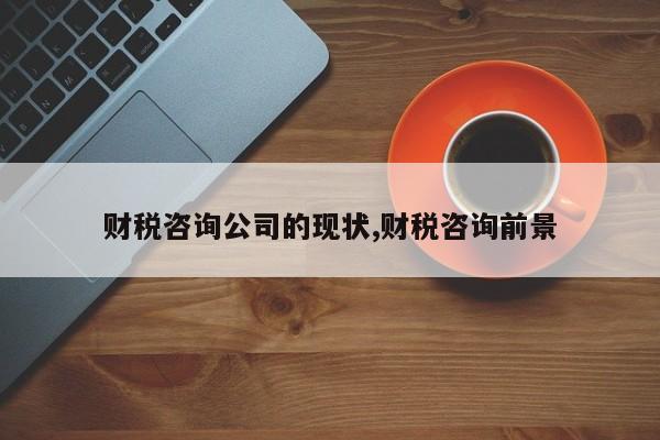财税咨询公司的现状,财税咨询前景