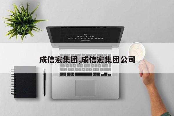 成信宏集团,成信宏集团公司
